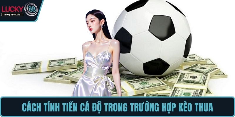 Cách tính tiền cá độ trong trường hợp kèo thua